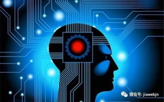 同質(zhì)化格局下，AI能否引爆智能手機(jī)行業(yè)創(chuàng)新？——人工智能應(yīng)用軟件開發(fā)的挑戰(zhàn)與機(jī)遇